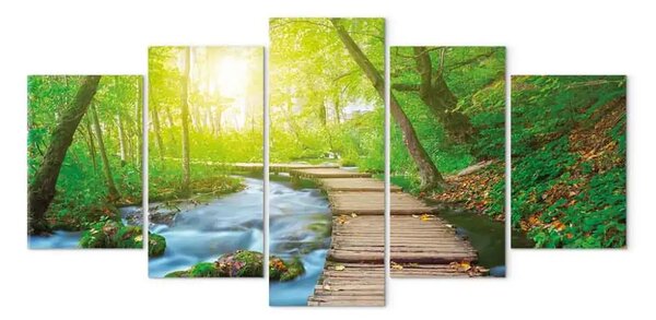 Quadro contemporaneo In una foresta assolata