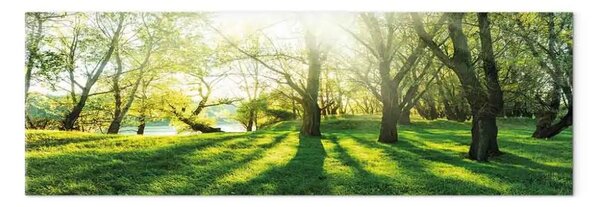 Quadro su tela Sotto il sole