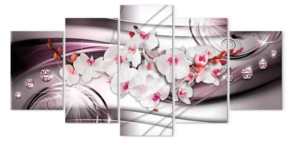 Quadro su tela L'ombra di un'orchidea