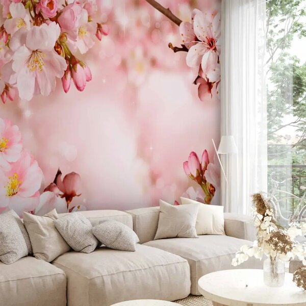 Carta da parati moderna Primavera - composizione rosa di fiori di ciliegio