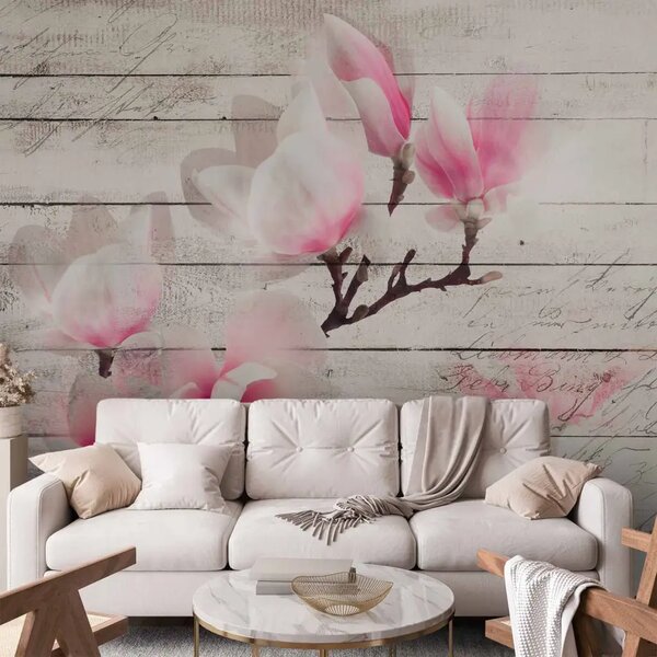 Carta da parati Delicatezza delle magnolie - fiore bianco-rosato su sfondo di assi