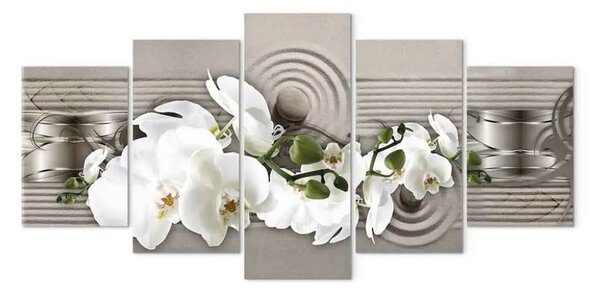 Quadro moderno Orchidea estiva