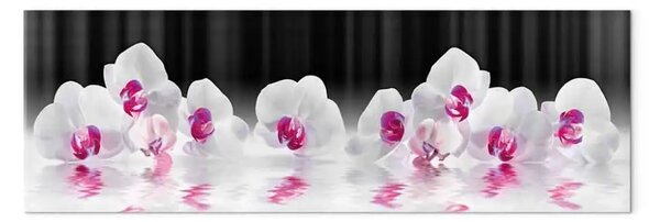 Quadro su tela Orchidee d'acqua