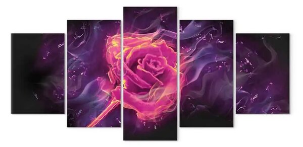 Quadro moderno Rosa fiammeggiante