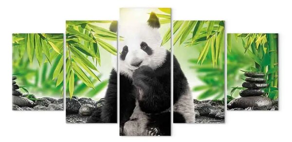 Quadro su tela Dolce piccolo panda