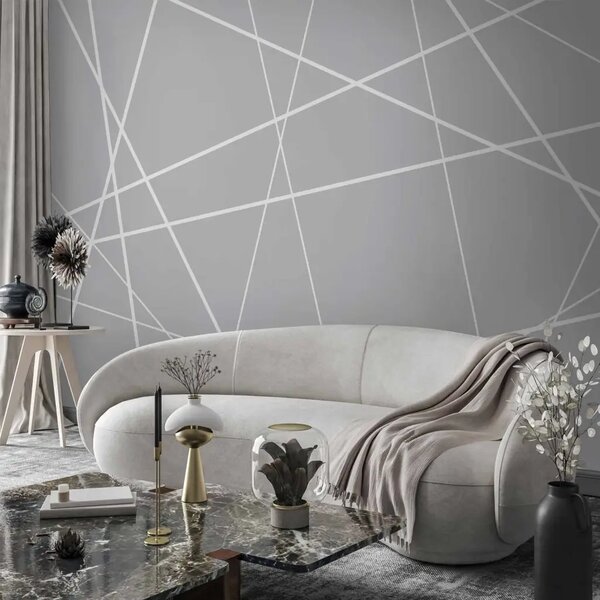 Carta da parati moderna Ragnatela moderna - linee geometriche bianche su sfondo grigio