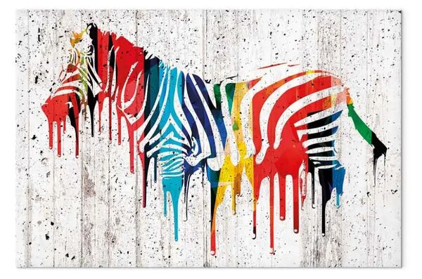 Quadro moderno Zebra colorata