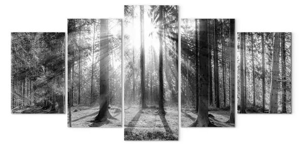 Quadro moderno Foresta dei ricordi