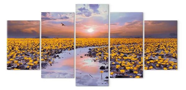 Quadro Fiume floreale - paesaggio pieno di fiori sull'acqua al tramonto