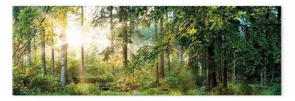 Quadro moderno Rifugio nella foresta