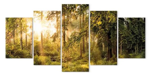 Quadro contemporaneo La magia della foresta