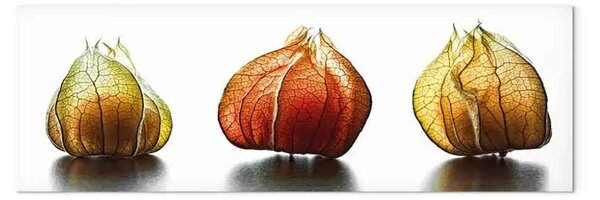 Quadro su tela Soffietti