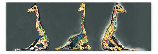 Quadro su tela Giraffe colorate