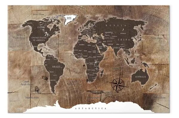 Quadro su tela Mappa del mondo: Mosaico di legno