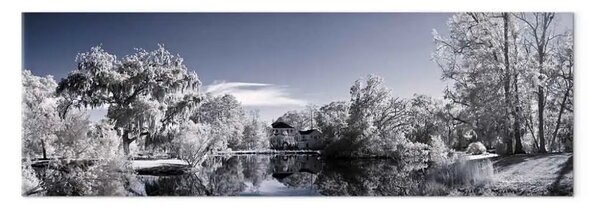 Quadro moderno Lago d'inverno