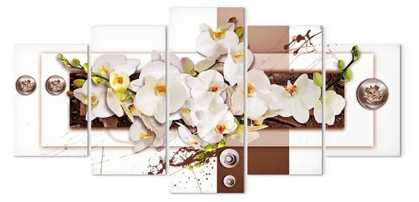 Quadro moderno Installazione floreale (5 pezzi) - orchidee su sfondo geometrico