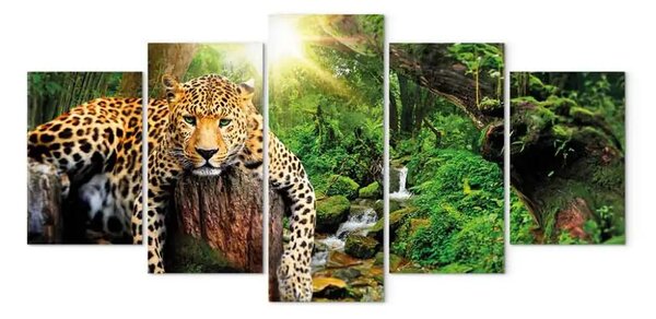 Quadro Il riposo di un predatore