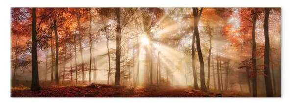 Quadro su tela Alba d'autunno