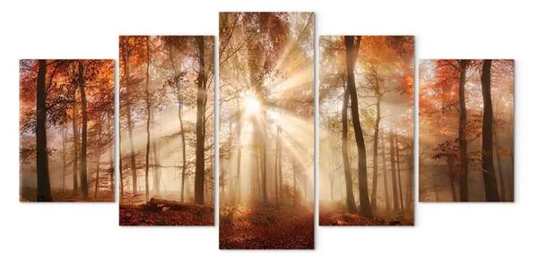 Quadro contemporaneo Nebbia della foresta