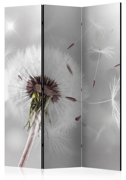 Paravento separè Catturare l'effimero - fiore romantico soffiato su sfondo grigio