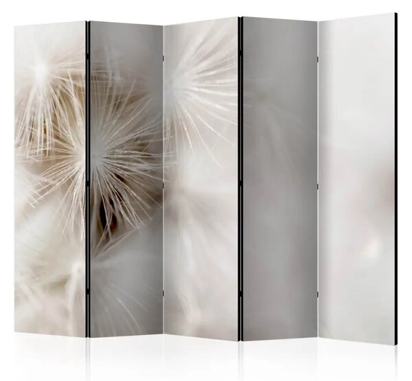 Paravento design Sottigliezza II - fiori di soffione nel bagliore su sfondo bianco