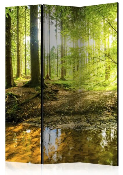 Paravento design Lago forestale - paesaggio di foresta sullo sfondo di raggi solari