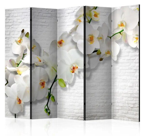 Paravento separè Orchidea urbana II - orchidea su muro bianco di mattoni