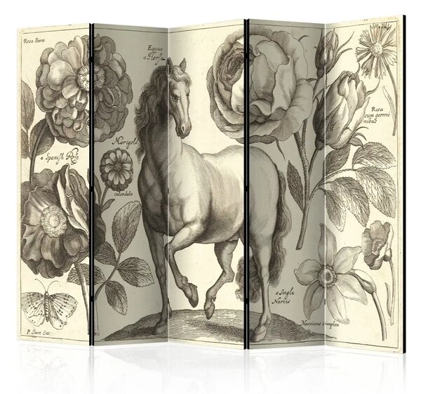 Paravento Cavallo II - animale romantico e piante in stile retro