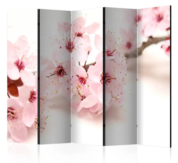 Paravento design Fiore di ciliegio II - pianta rosa su sfondo bianco in tema orientale