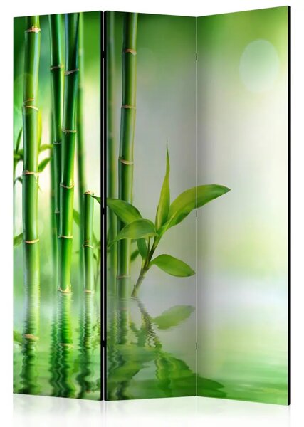 Paravento Bambù verde - pianta orientale di bambù verde in tema Zen