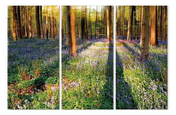 Quadro Prato fiorito alberi (3 pezzi) - paesaggio primaverile foresta