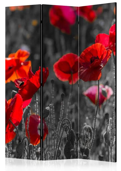 Paravento design Papaveri Rossi - fiori rossi estivi su prato bianco e nero