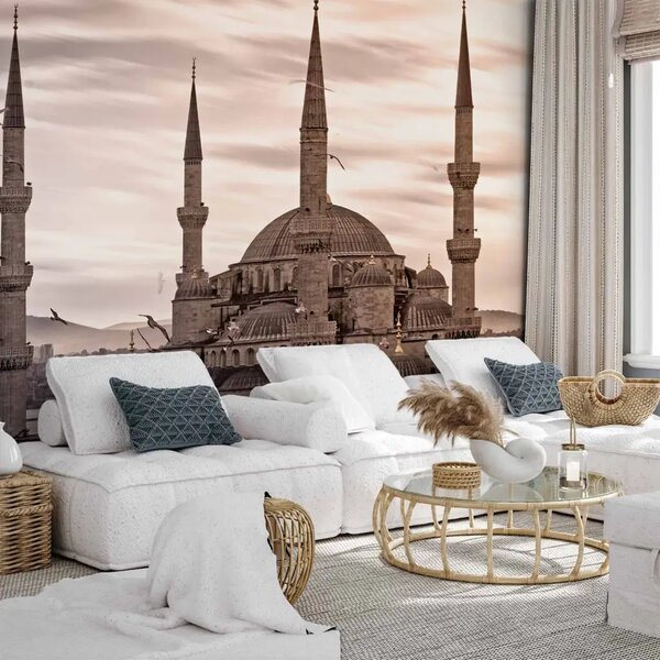 Carta da parati moderna Moschea Blu - Istanbul - panorama architettonico su cielo rosa