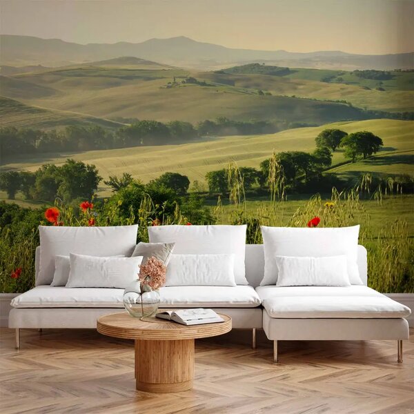 Carta da parati Papaveri in Toscana - campi italiani con alberi e montagne