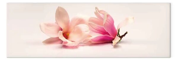 Quadro contemporaneo Belle magnolie