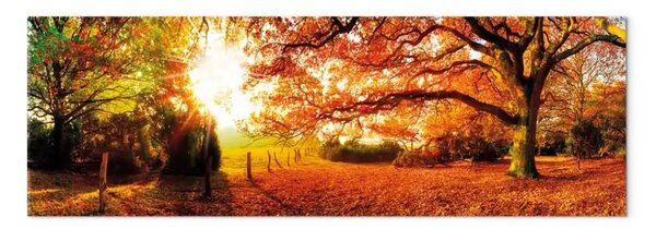 Quadro contemporaneo La magia dell'autunno