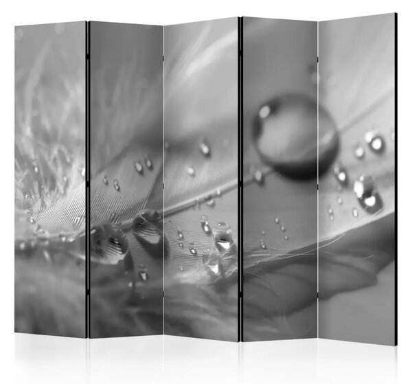 Paravento separè Piuma Grigia II - piuma con gocce d'acqua su texture grigia chiara