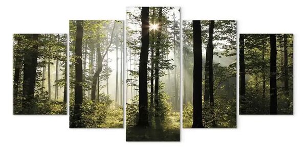 Quadro contemporaneo Luce verde natura (5 pezzi) - splendore natura paesaggio foresta
