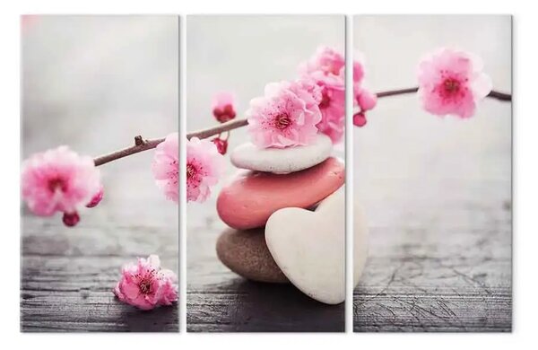 Quadro moderno Zen: Fiori di ciliegio II