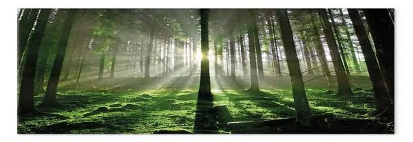 Quadro moderno Foresta smeraldo - paesaggio verde con raggi di sole