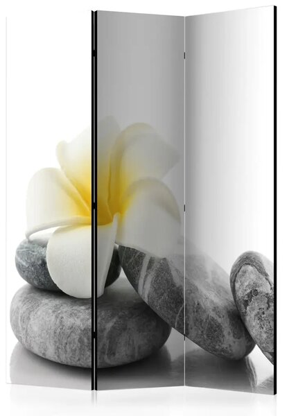 Paravento design Loto bianco - un fiore bianco su pietre grigie in stile orientale