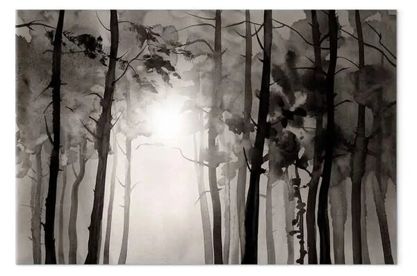 Quadro Strada nella foresta - alberi scuri che conducono verso il sole
