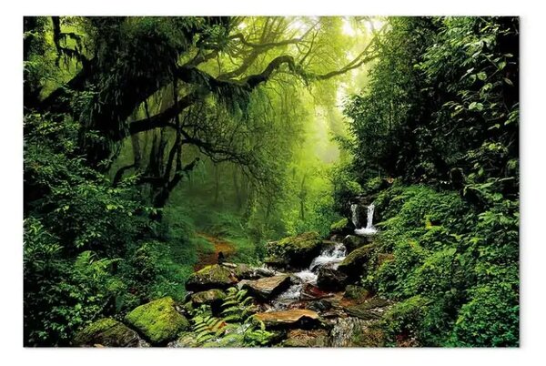 Quadro contemporaneo Cascata nella foresta