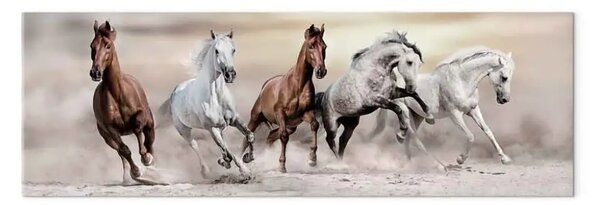 Quadro contemporaneo Galoppo verso la libertà - cavalli bianchi e marroni sulla sabbia