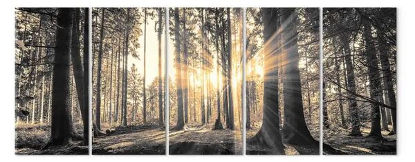 Quadro Guardiani dell'ombra (5 parti) - bosco alla luce dell'alba