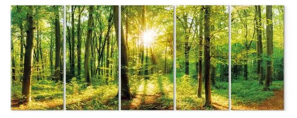 Quadro contemporaneo Una foresta magica
