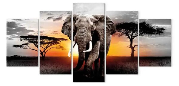 Quadro su tela Elefante al tramonto (5 parti) - viaggio attraverso la natura africana