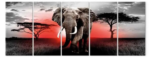 Quadro Tramonto sulla savana (5 parti) - elefante sotto il sole africano
