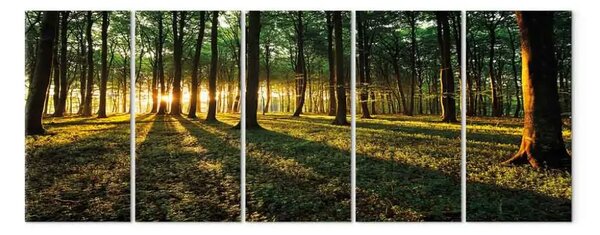 Quadro su tela All'ombra degli alberi - paesaggio boschivo con sole