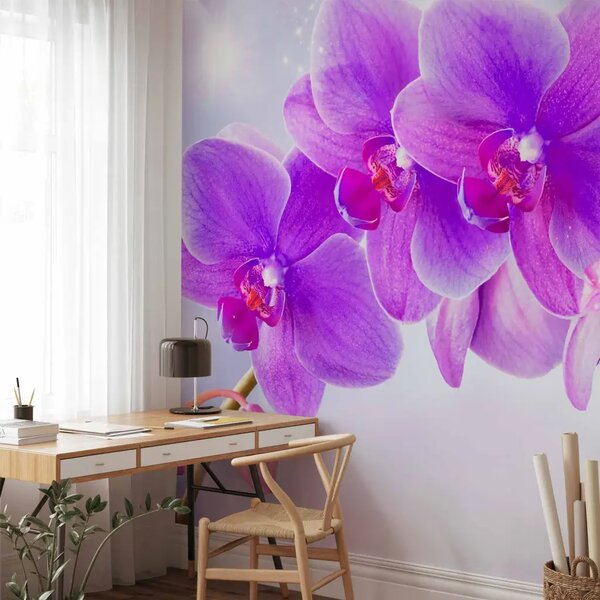 Carta da parati moderna Orchidee viola - motivo floreale con effetto di luce
